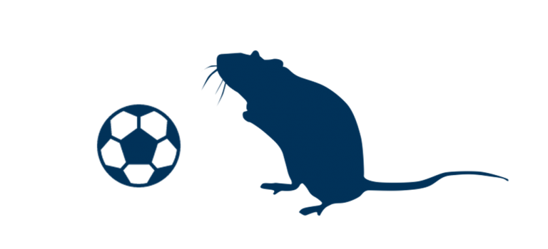 Verhungernde Ratten & Wettbewerb im Fußball